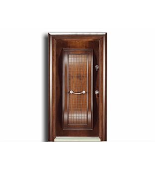 درب ضد سرقت